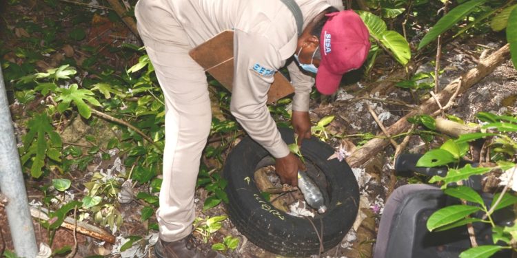 El dengue, zika y chikungunya se previenen con la eliminación de los criaderos del mosquito portador de estas enfermedades