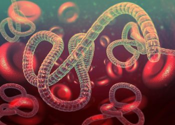 OMS confirma nuevo brote de ébola en República Democrática del Congo