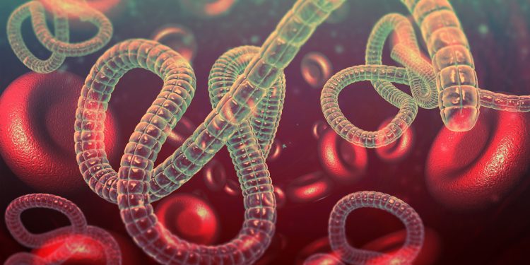 OMS confirma nuevo brote de ébola en República Democrática del Congo