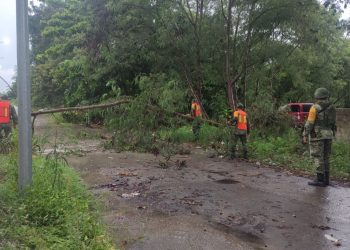 Instituciones y dependencias de protección civil y seguridad atienden encharcamientos en Chetumal