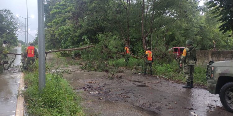 Instituciones y dependencias de protección civil y seguridad atienden encharcamientos en Chetumal