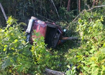 Fallece conductor tras sufrir accidente en carretera de Felipe Carrillo Puerto
