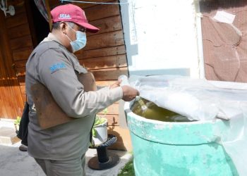 La eliminación de criaderos del mosquito Aedes Aegypti reduce el riesgo de transmisión del dengue, zika y chikungunya
