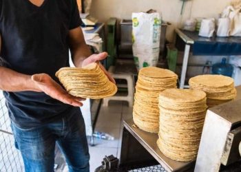 Incremento de tortillas es impacto directo para la alimentación de los quintanarroenses