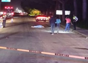Albañil fallece tras ser atropellado en Playa del Carmen