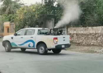Para disminuir la proliferación de moscos, la SESA continúa promoviendo la limpieza del patio y la azotea en las viviendas