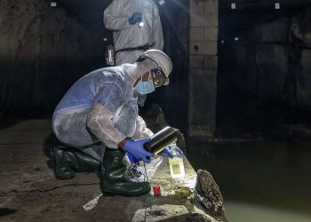 Analizan aguas residuales para detectar la presencia de viruela del mono en Estados Unidos