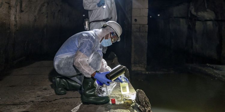 Analizan aguas residuales para detectar la presencia de viruela del mono en Estados Unidos