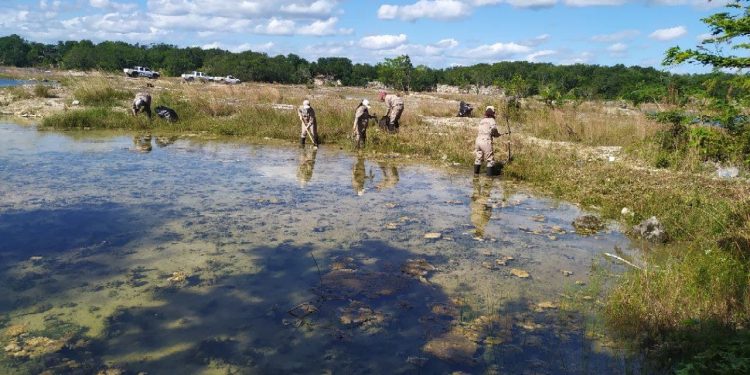 Quintana Roo mantiene el estatus de “transmisión local de paludismo eliminada”