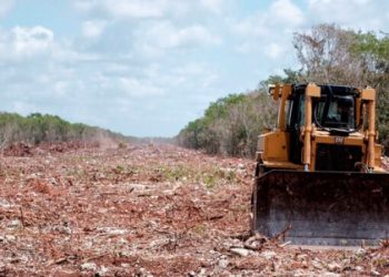Por decreto Sedatu expropió 36 predios en Quintana Roo, para liberar la realización del Tren Maya en su Tramo 5