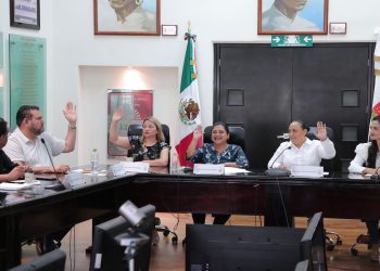 Aprueba Congreso de Quintana Roo Ley Vicaría impulsada por Kira Iris