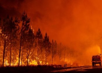 Incendio forestal forzó el desalojo de ocho mil personas en Francia