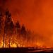 Incendio forestal forzó el desalojo de ocho mil personas en Francia