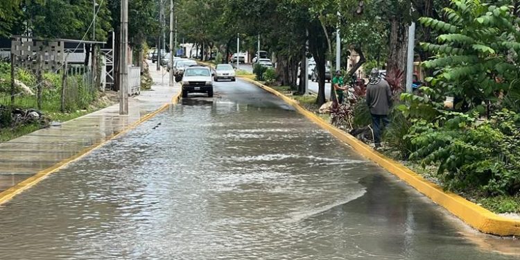 Vicios ocultos en remodelación de costera de Bacalar advierten hoteleros