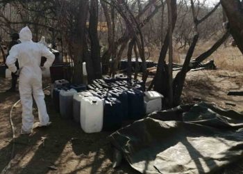 SEMAR decomisa 420 mil drogas y armas de fuego en Sonora