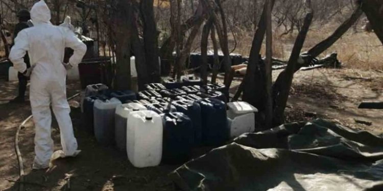 SEMAR decomisa 420 mil drogas y armas de fuego en Sonora