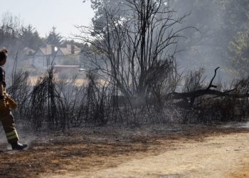 Alertan a la población británica condiciones de sequías en algunas zonas del suroeste