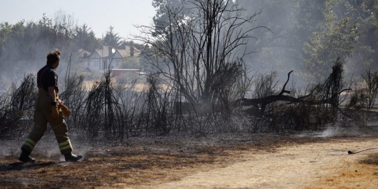 Alertan a la población británica condiciones de sequías en algunas zonas del suroeste