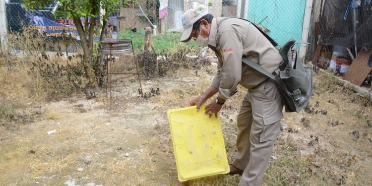 Eliminan más de 2 mil toneladas de cacharros como medida en contra del dengue, zika y chikungunya