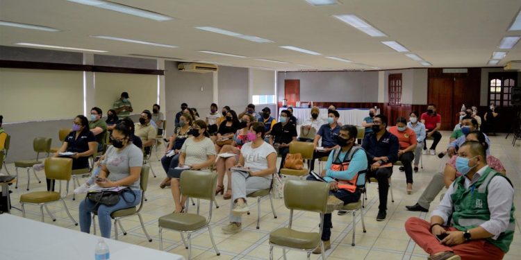 80% de incremento en ventas para el sur del estado