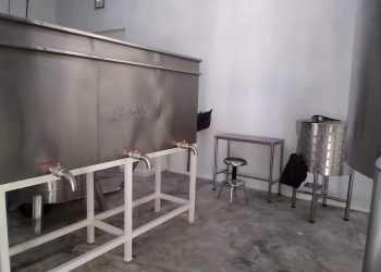 En operaciones centro de innovación apícola de QROO