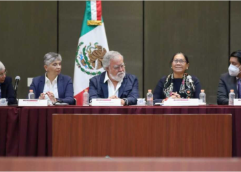 Inicia gira en México relatora sobre los derechos humanos de los desplazados internos de la ONU