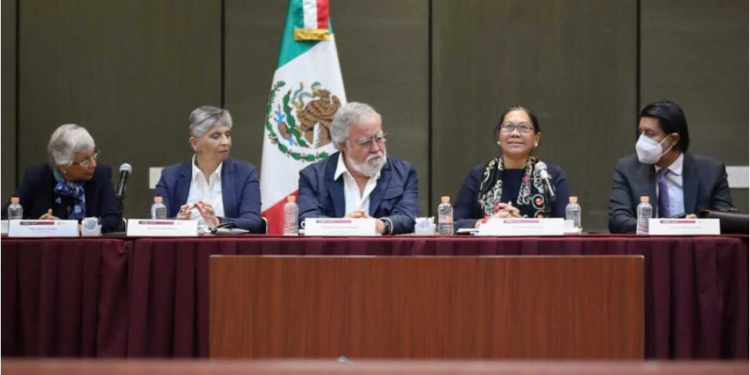 Inicia gira en México relatora sobre los derechos humanos de los desplazados internos de la ONU