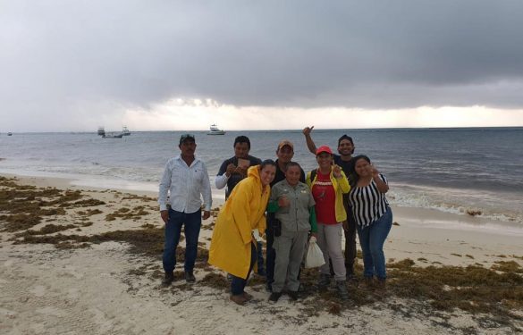 Impulsan protección de las dunas costeras en Quintana Roo