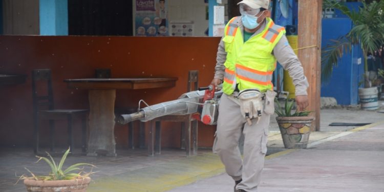 Para el control del dengue, zika y chikungunya se han visitado 429 mil 506 viviendas