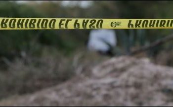 Hallan cadáver con signos de tortura en la Región 227 de Cancún