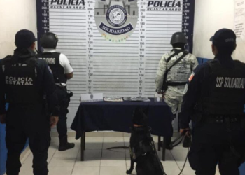 Aseguran dos armas de fuego en dos diferentes antros en Playa del Carmen