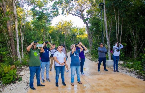 La FPMC participará en el 14 Festival de las Aves Isla Cozumel