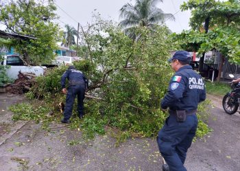 Lluvias afectan al Sur del Estado