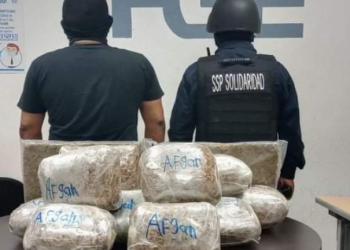 Aseguran más de 20 kilos de marihuana en Playa del Carmen