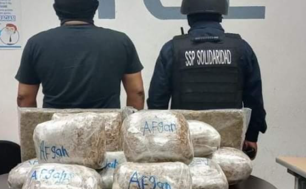 Aseguran más de 20 kilos de marihuana en Playa del Carmen
