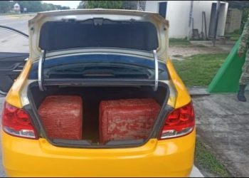 Aseguran a taxista que transportaba 20 kilos de marihuana en la cajuela en Bacalar