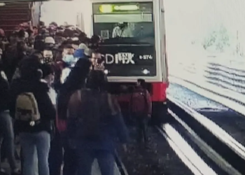 Usuario del metro baja a las vías y rescata a perro en la línea Jamaica