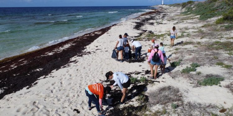 La FPMC participará en la XXXVII Jornada Internacional de Limpieza de Playas