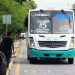 Extienden servicio de transporte colectivo en Cancún por festejo del Grito de Independencia