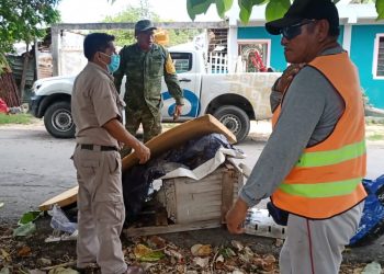 Continúa la SESA con la promoción de la limpieza del patio y la azotea para eliminar los criaderos de moscos