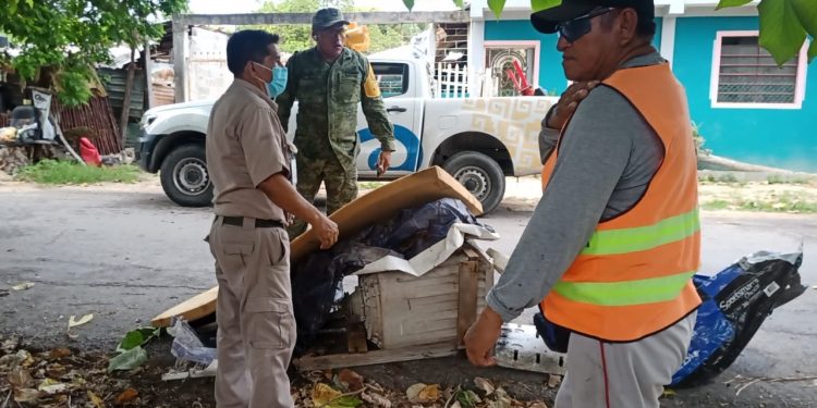 Continúa la SESA con la promoción de la limpieza del patio y la azotea para eliminar los criaderos de moscos