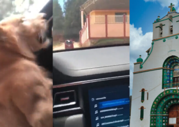 Captan a un león africano siendo paseado en camioneta de lujo en San Juan Chamula, Chiapas