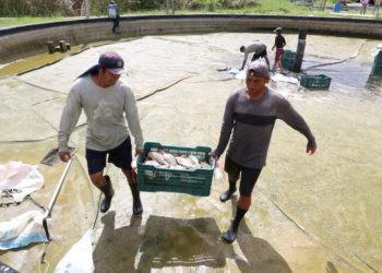 Coneval pronostica mayor disminución de la pobreza laboral en Quintana Roo