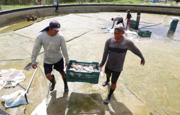 Coneval pronostica mayor disminución de la pobreza laboral en Quintana Roo