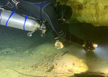 Arqueólogo descubre esqueleto humano más de 8 mil años por el paso del Tren Maya