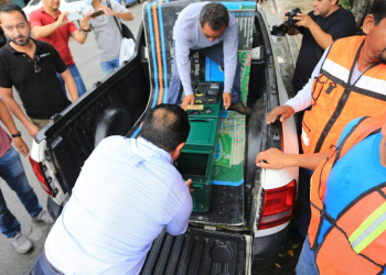 Retiran más de 15 parquimetros en colonias de Playa del Carmen