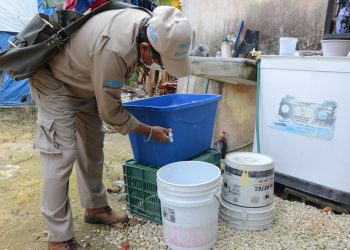 La SESA invita a la población a mantener las acciones preventivas contra el dengue, zika y chikungunya