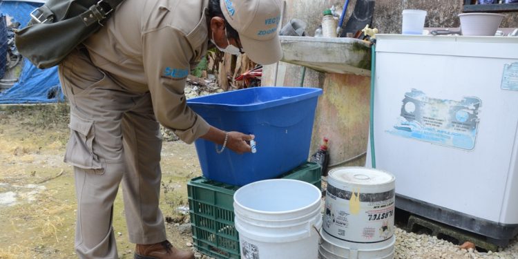 La SESA invita a la población a mantener las acciones preventivas contra el dengue, zika y chikungunya
