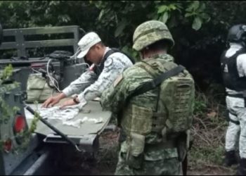 Decomisan 23 bolsitas de droga y 10 cartuchos en Othón P. Blanco