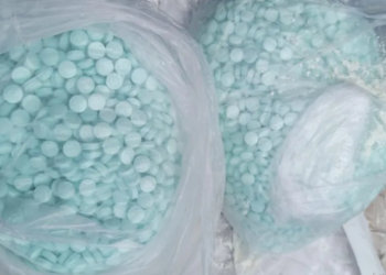 Sedena decomisa más de 10 mil dosis de drogas sintéticas en Querétaro